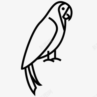鹦鹉动物鸟图标图标