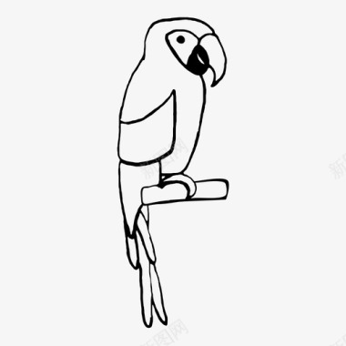 鹦鹉ara自然图标图标