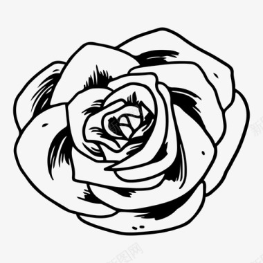 玫瑰夹道玫瑰图标图标