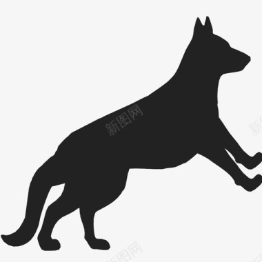 狗咬宠物图标图标