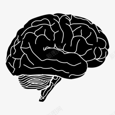 大脑解剖学人脑图标图标