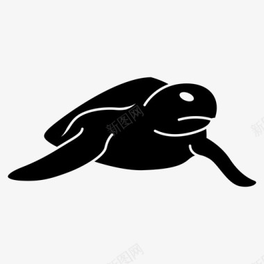 海龟动物海滩图标图标