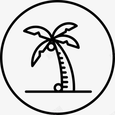沙滩椰子树椰树沙滩图标图标
