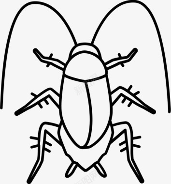 蟑螂控制灭虫图标图标
