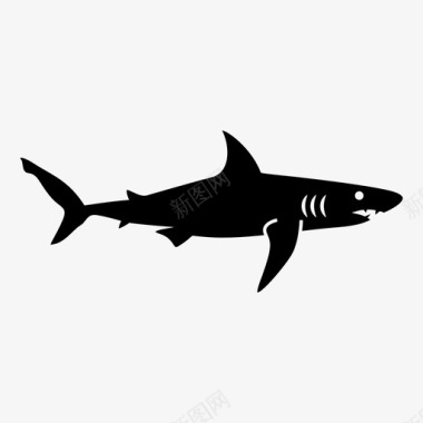白色道路鲨鱼鱼大图标图标