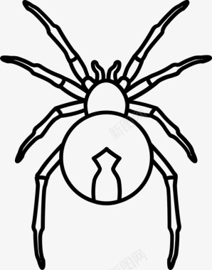 红背蜘蛛澳大利亚危险图标图标