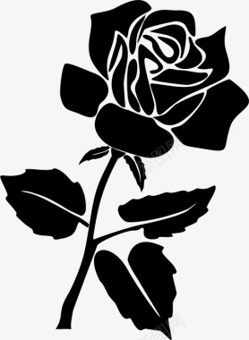 玫瑰美丽花朵图标图标