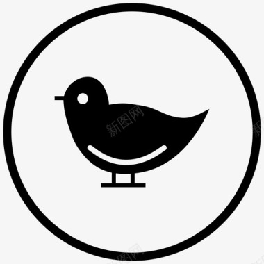 鸟动物鸽子图标图标