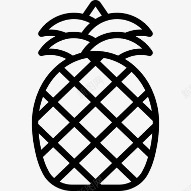 菠萝特写菠萝异国情调水果图标图标