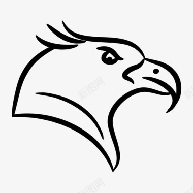 鹰动物鹰头图标图标