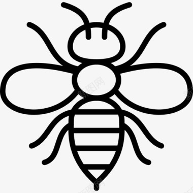 动物蜜蜂昆虫黄蜂图标图标