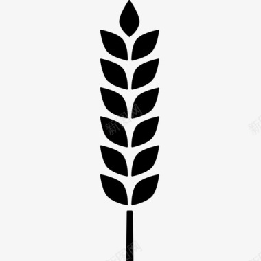 小麦农业粮食图标图标