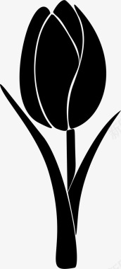 郁金香美丽花园图标图标