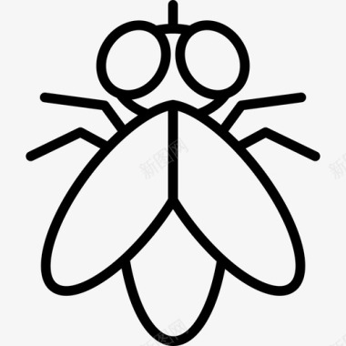 虫子苍蝇昆虫虫子图标图标