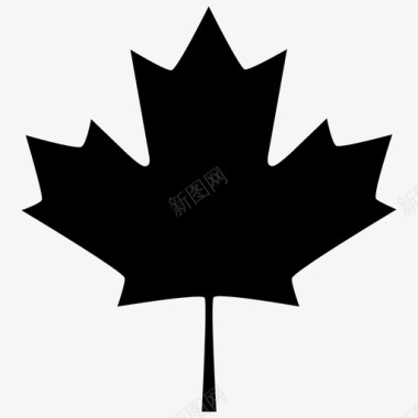 枫叶加拿大树图标图标