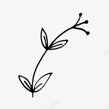 文艺装饰性叶子植物装饰性叶子图标图标