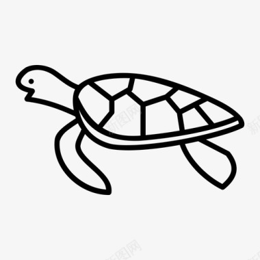 海洋海龟动物海滩图标图标