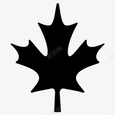 枫叶枫叶加拿大植物图标图标