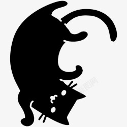猫肚子猫肚子可爱猫图标高清图片
