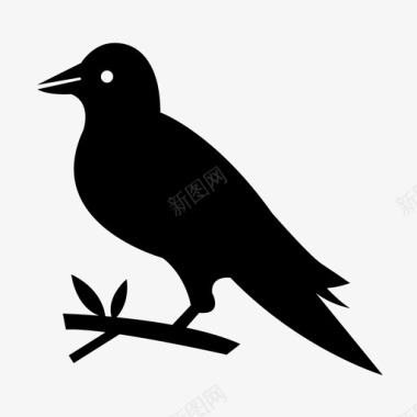 黑色黑色形状乌鸦小鸟黑色图标图标