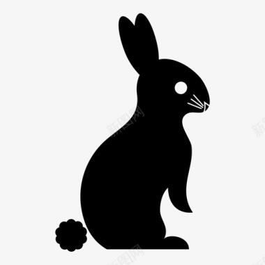 感棉兔子动物棉尾巴图标图标