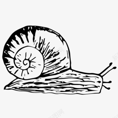蜗牛蛤蜊手绘图标图标