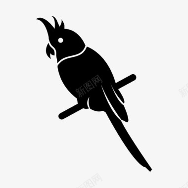 凤头鹦鹉动物鸟图标图标