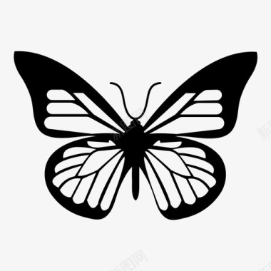 帝王蝶昆虫翅膀图标图标