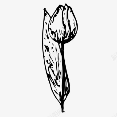 郁金香花手绘图标图标