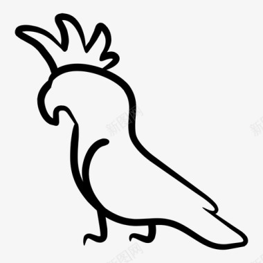 凤头鹦鹉动物鸟图标图标