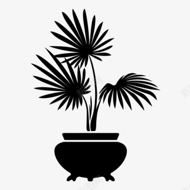 棕榈植物外来植物图标图标