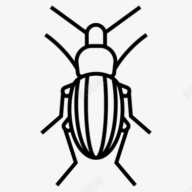 虫地甲虫虫昆虫图标图标