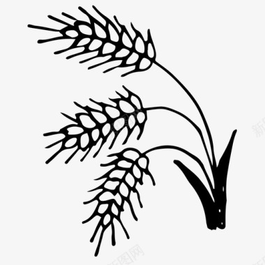自然的小麦穗手绘图标图标
