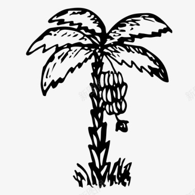 棕榈树手绘图标图标