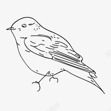 鸟动物手绘图标图标