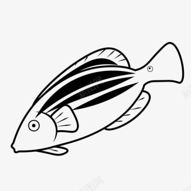 六线濑鱼鱼咸水图标图标