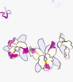 紫色蝴蝶兰矢量图素材