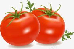 新鲜红色番茄西红柿蔬菜图素材