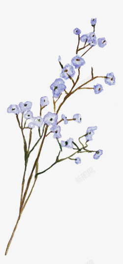 蓝色手绘树枝上的花朵素材