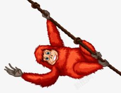 红色大猩猩卡通动物装饰高清图片