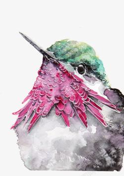 彩绘尖嘴鸟图案素材