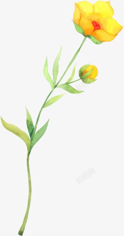 手绘黄色花朵植物春日艺术素材