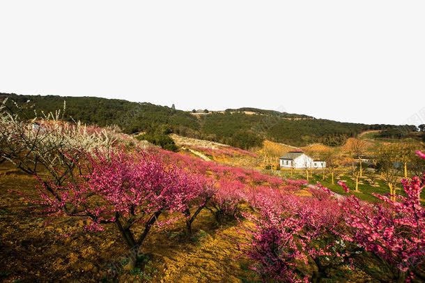 张家港香山风景区png免抠素材_88icon https://88icon.com 写真 名胜古迹 图片 地方景点 实物图 张家港 摄影图 江苏 风景区 香山 高清 高清图片