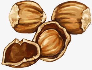 手绘卡通榛子干果png免抠素材_88icon https://88icon.com 卡通 干果 榛子