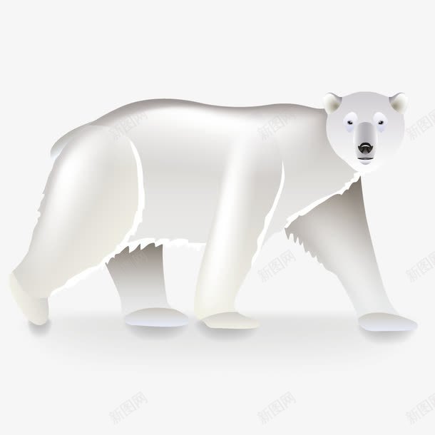 动物北极熊png免抠素材_88icon https://88icon.com 北极神物 狗熊 白熊 白色 食肉动物