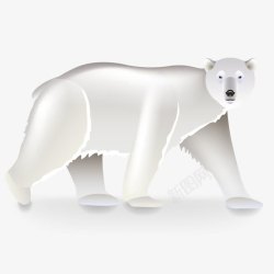 动物北极熊素材