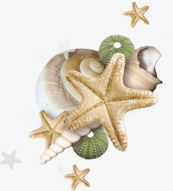 海派星素材