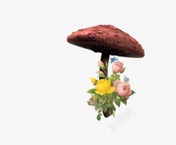 蘑菇花朵素材