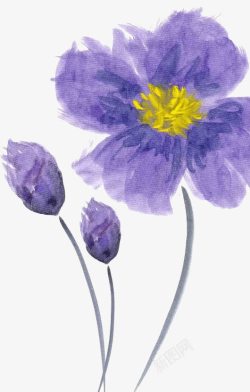 手绘紫色鲜花黄色花蕊素材