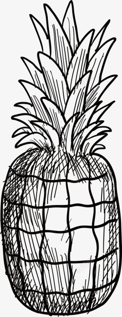 手绘菠萝矢量图素材